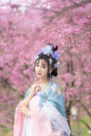 尼姑小寡妇免费播放电视剧